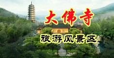 漂亮的骚屄女被大鸡巴肏中国浙江-新昌大佛寺旅游风景区